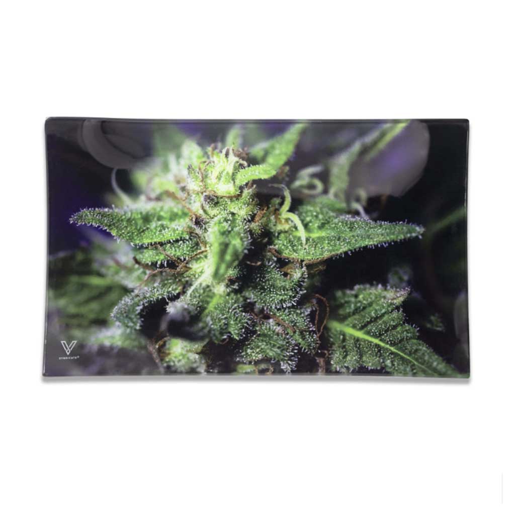 BLUE DREAM GLASS TRAY