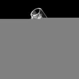 ENAIL ORIGINAL QUARTZ BANGER - 90° DEGREE | YL